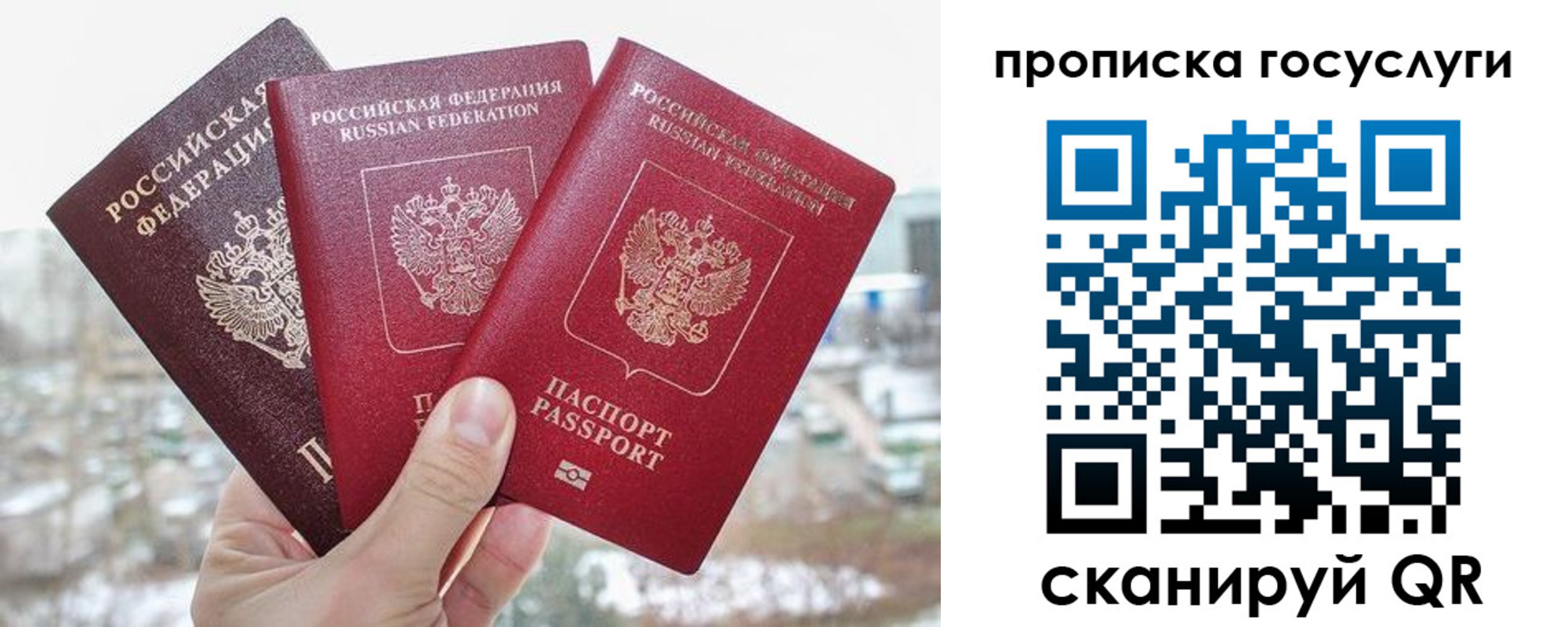прописка законно в Елабуге